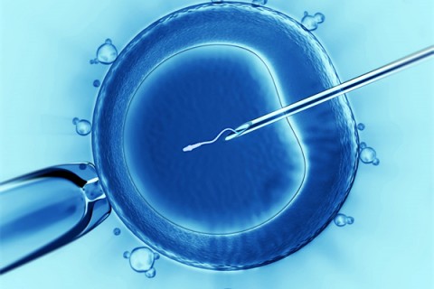 http://quanzhou.vdtfzz.com/post/198.html|泉州代生助孕