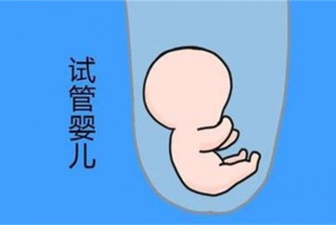 http://quanzhou.vdtfzz.com/post/194.html|泉州新闻中心