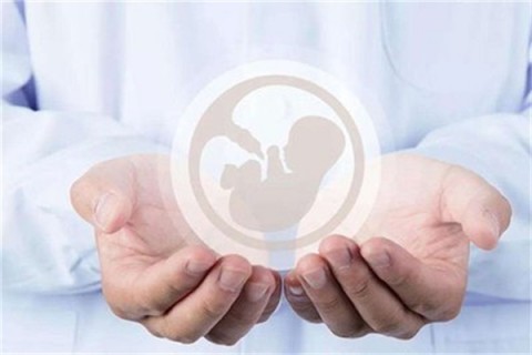 http://quanzhou.vdtfzz.com/post/214.html|泉州人工试管